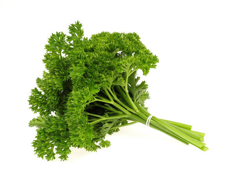 Bouquet de Persil