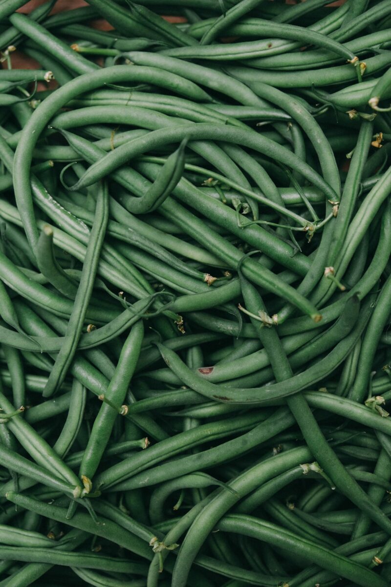 Haricots 500g