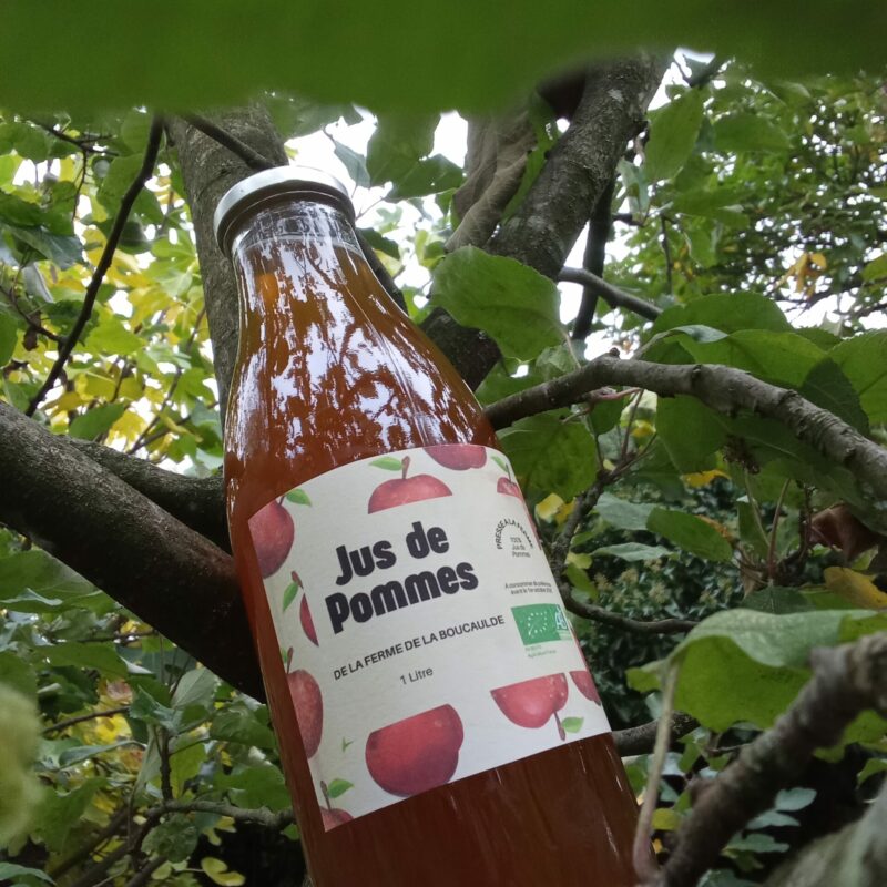 Jus de Pommes - 1L - Bouteille consignée