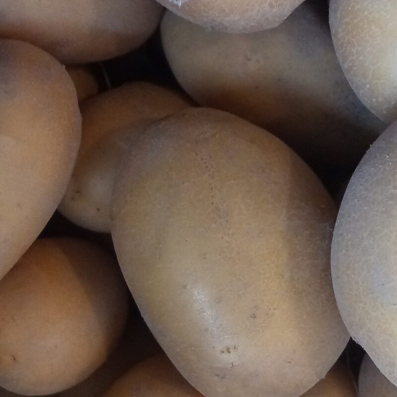 Pommes de terre Otlolia "L'Irrésistible" - 1kg